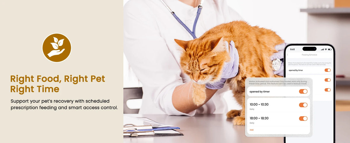 RFID Selective Cat Feeder with Ice Pack Cooling