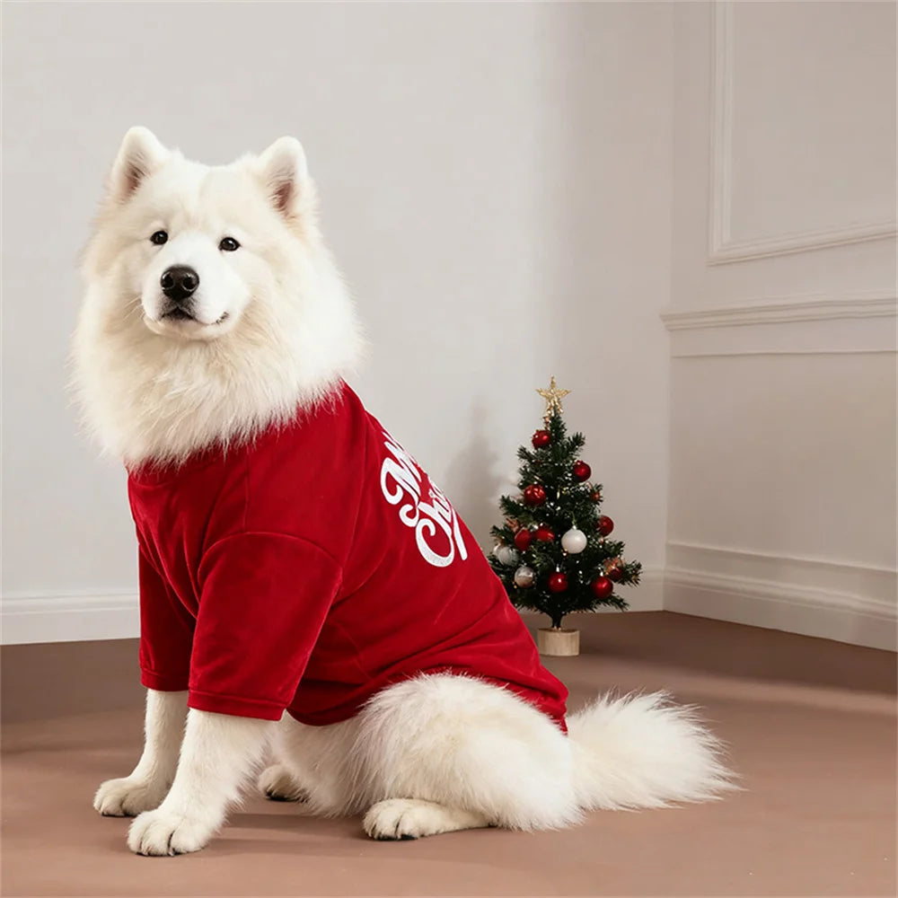 Christmas Dog Sweater