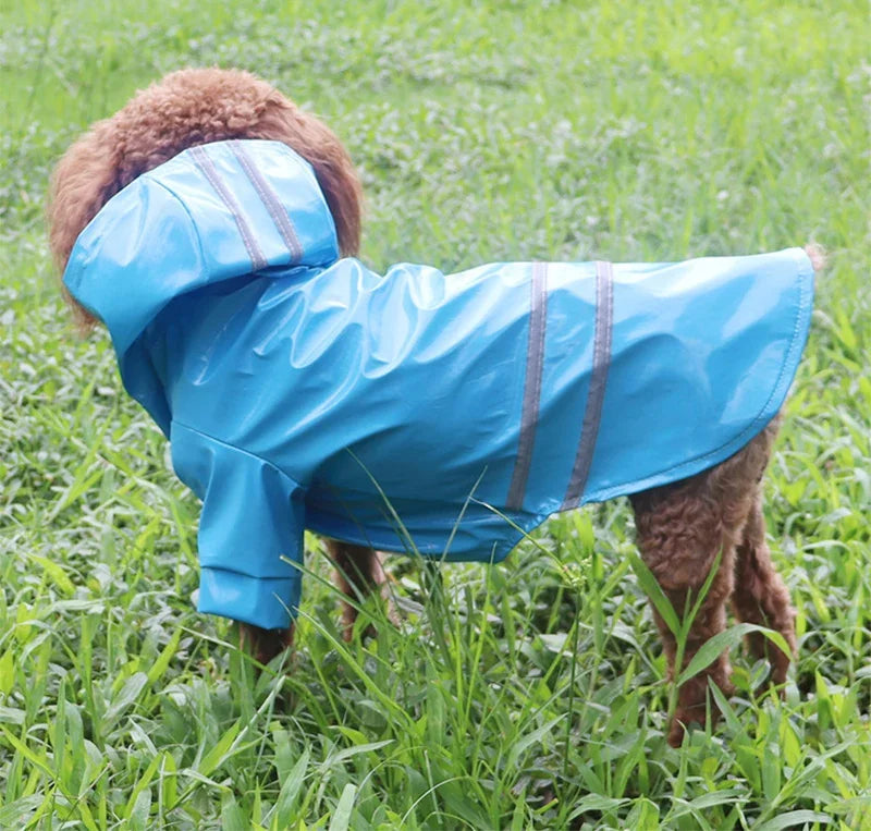 Imperméable réfléchissant pour chien | Cape Poncho coupe-vent pour petits chiens et chats