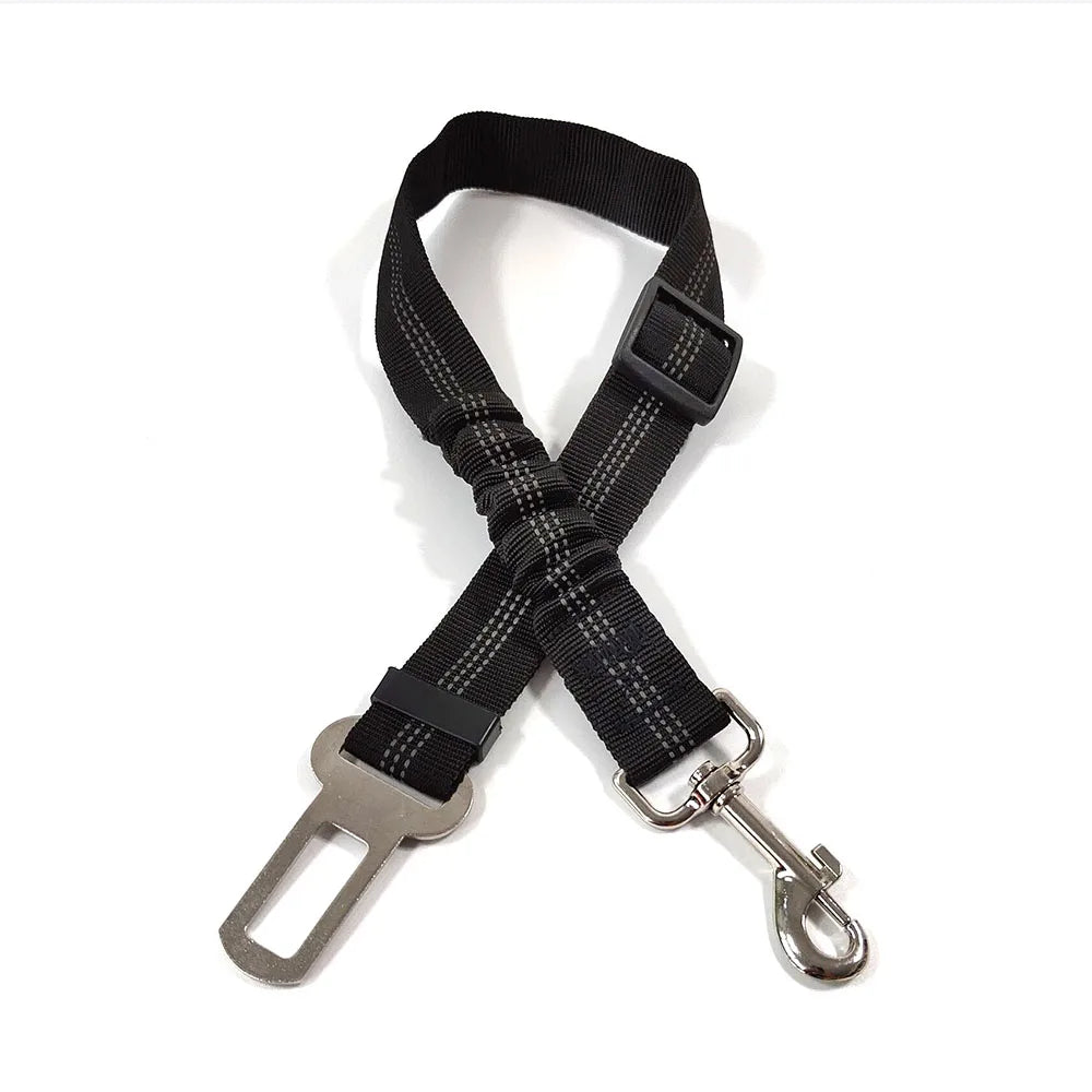 Ceinture de sécurité rétractable pour chien avec bande réfléchissante