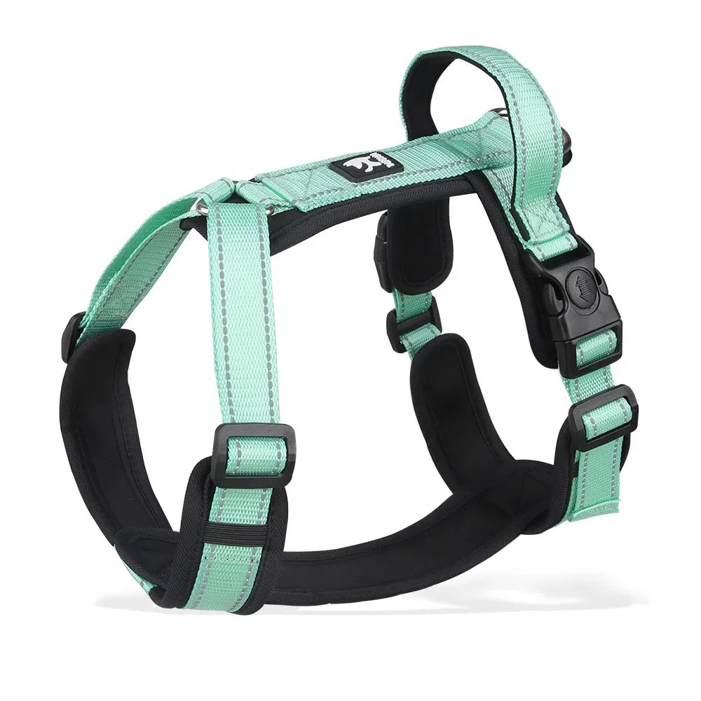 Ensemble Harnais et Collier Professionnel pour Dressage de Chien
