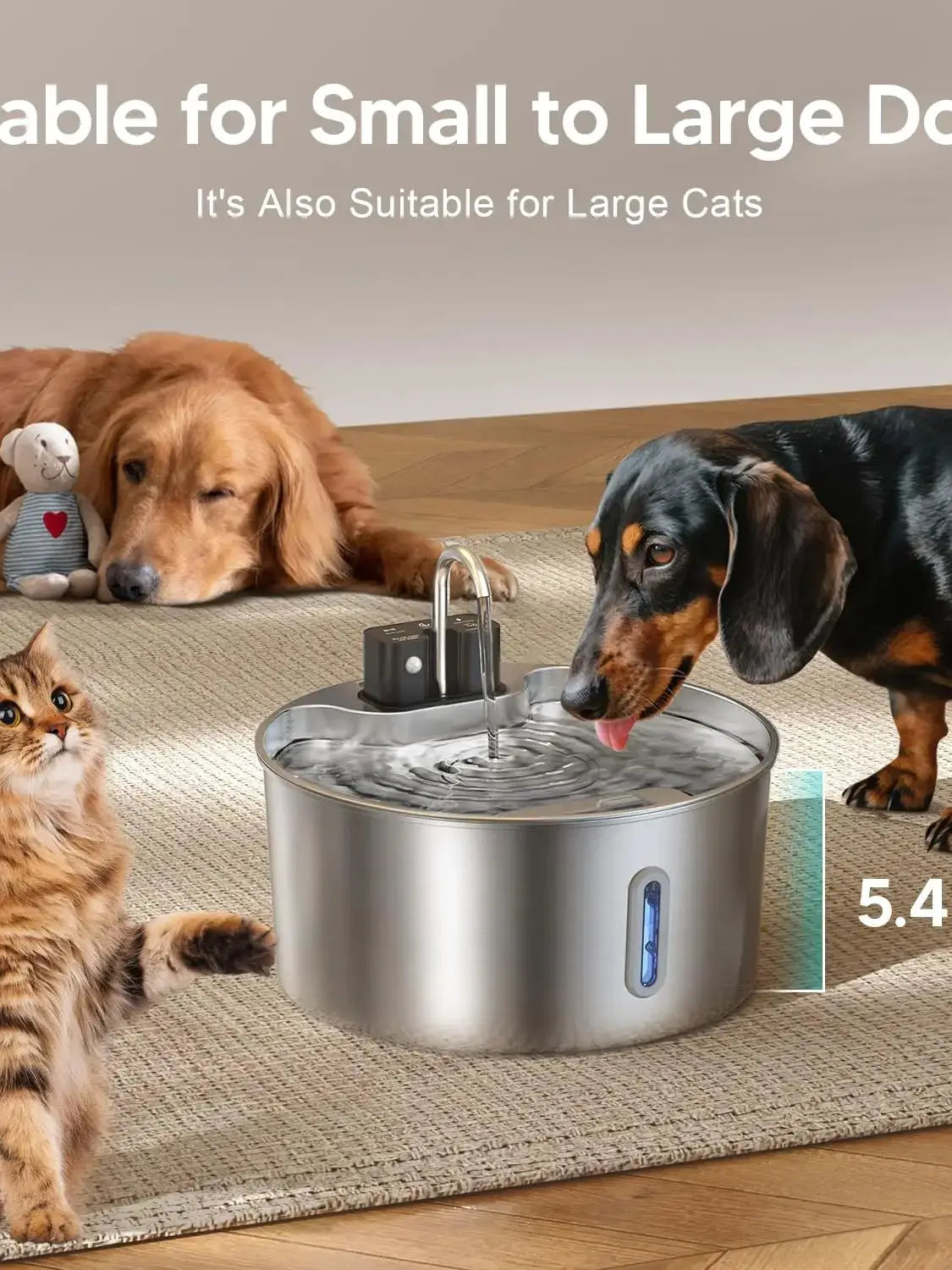 Fontaine à eau sans fil en acier inoxydable de 7 L pour chat — Sans fil intérieur