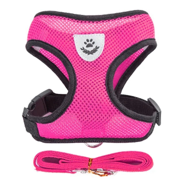 Breathable Mesh Vest Harness & Lead Set for Small to Medium Cats and Dogs