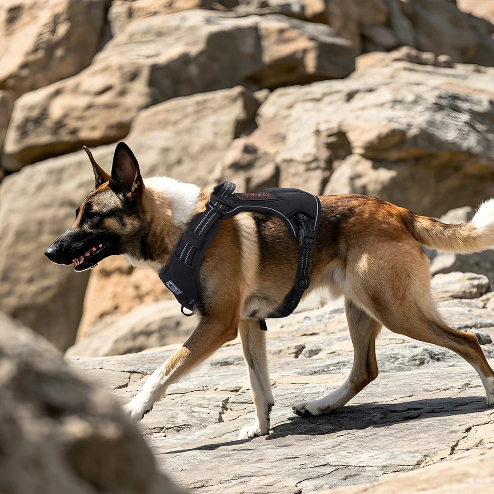 No-Pull Dog Vest Harness with Handle & Reflective Straps