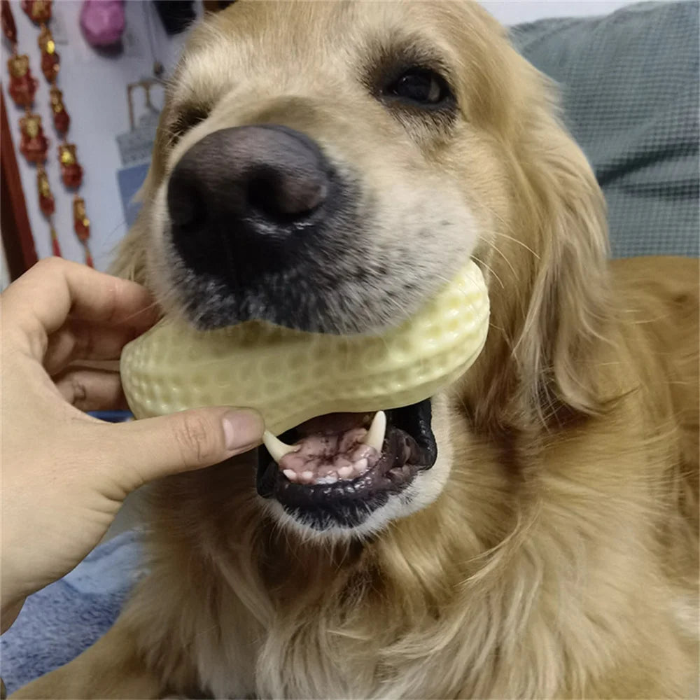 2Pcs/3Pcs Pet Chew Toys Fruit Vegetable Shapes with Squeaky for Small Medium Dogs Hot Sale Dog Accessories Juguetes Para Perros