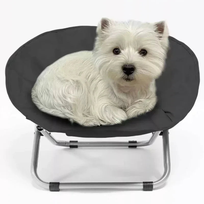 Foldable Pet Moon Chair for Cats & Dogs