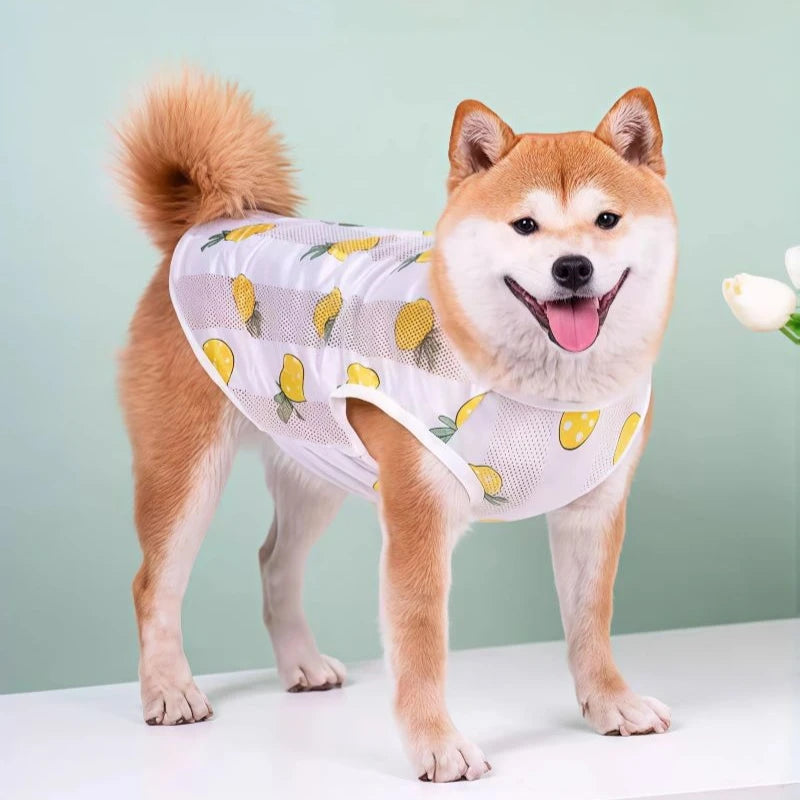 Breathable Mesh Cooling Vest for Dogs