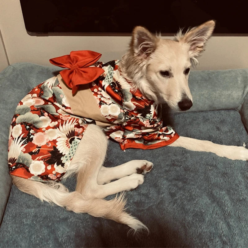 Japanese Kimono Costume for Cats & Dogs