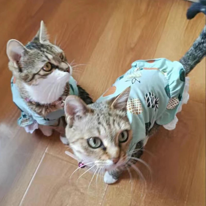 Cotton Print Dress for Cats & Small Dogs