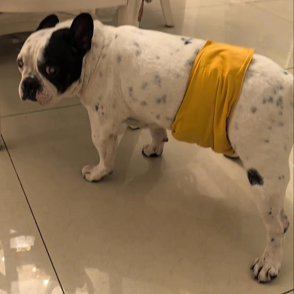 Reusable Waterproof Male Dog Belly Band Nappy Wraps