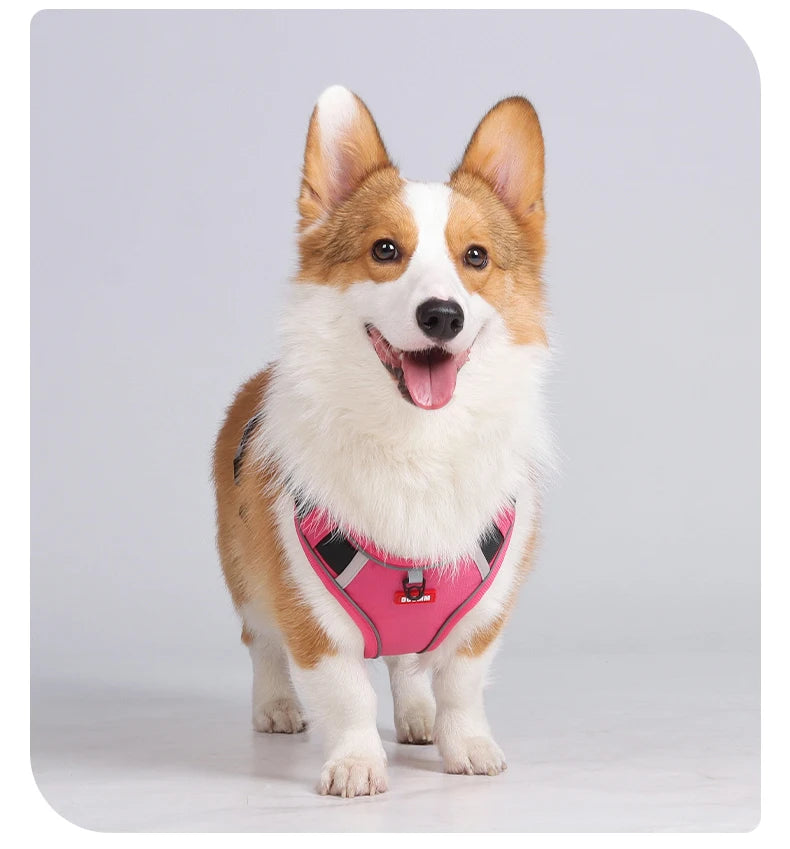 Reflective No-Pull Dog Harness Vest with AirTag Holder