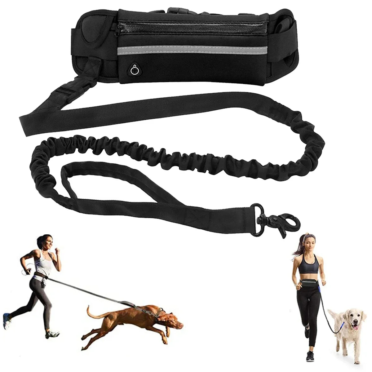 Laisse pour chien mains libres avec ceinture réfléchissante et pochette de rangement