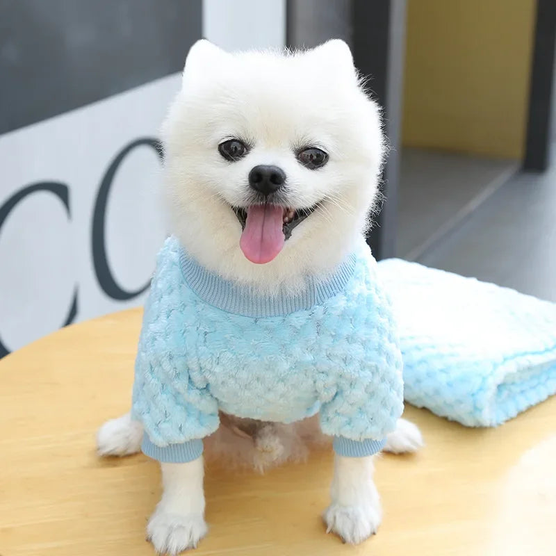 Manteau pull chaud pour chiot | Pull d'automne-hiver pour chiens et chats de petite taille