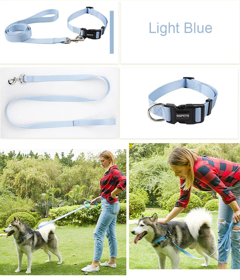 Ensemble laisse et collier réglables en nylon pour chiens - Pour petits et grands chiens