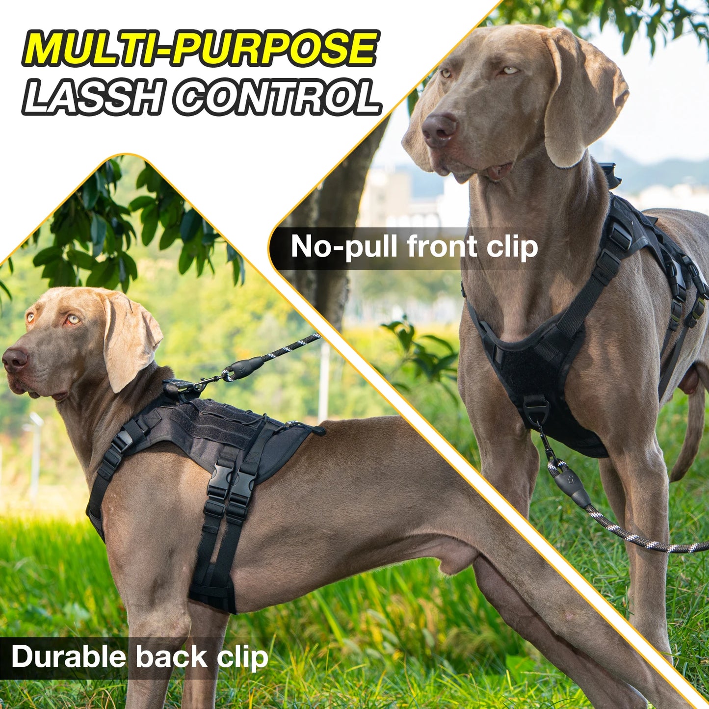 Harnais Tactique pour Chien avec Sangle de Poitrine et Boucle de Renfort