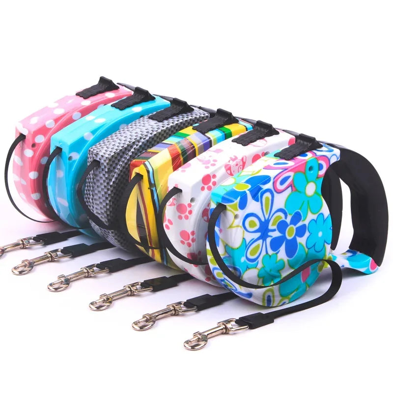 Laisse rétractable pour chien de 5 m