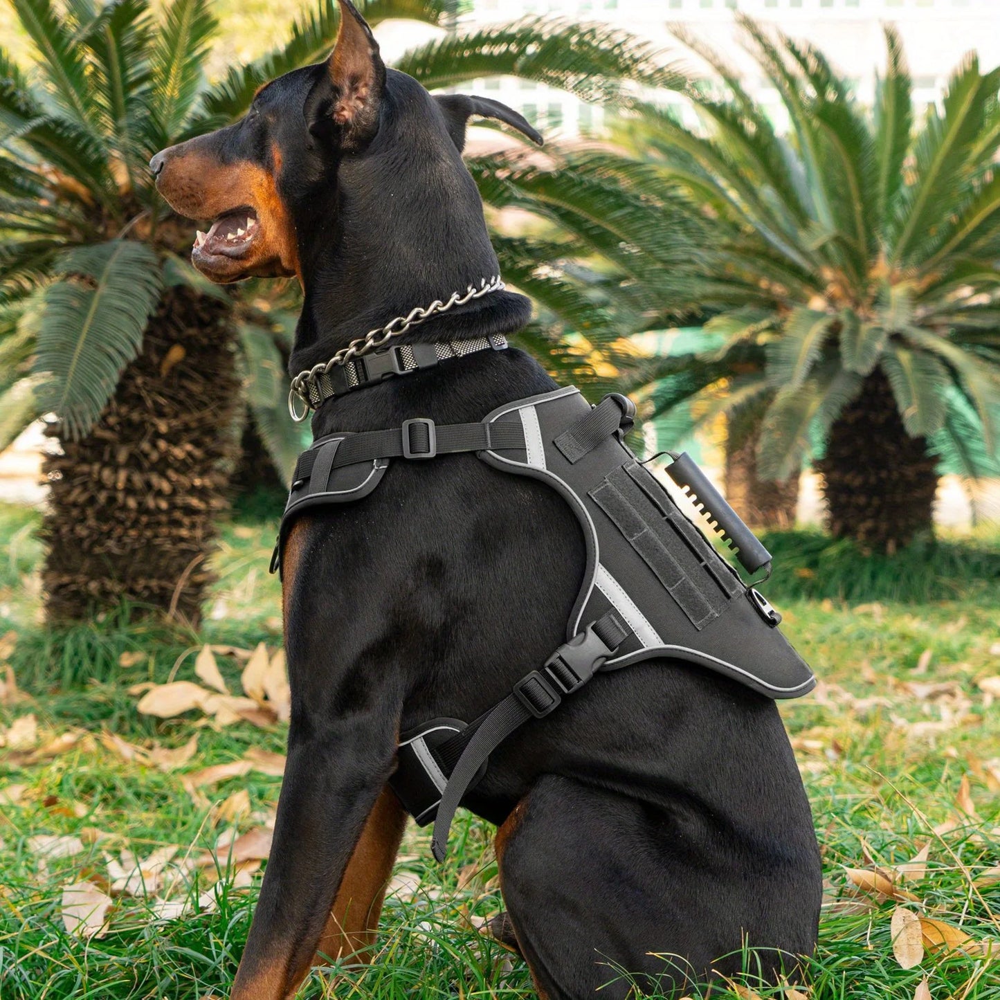 Gilet tactique militaire avec harnais et laisse pour grands chiens