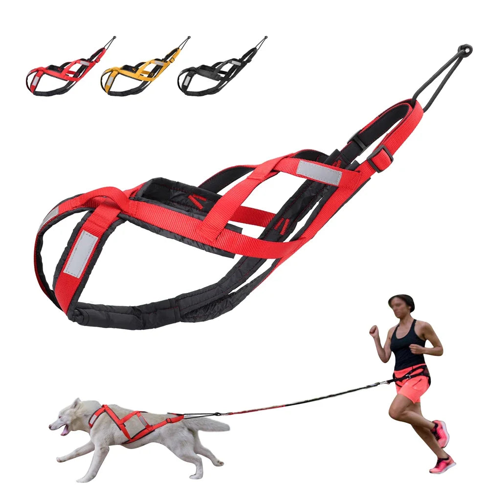 Reflective Padded Dog Sledding Harness for Medium & Large Dogs