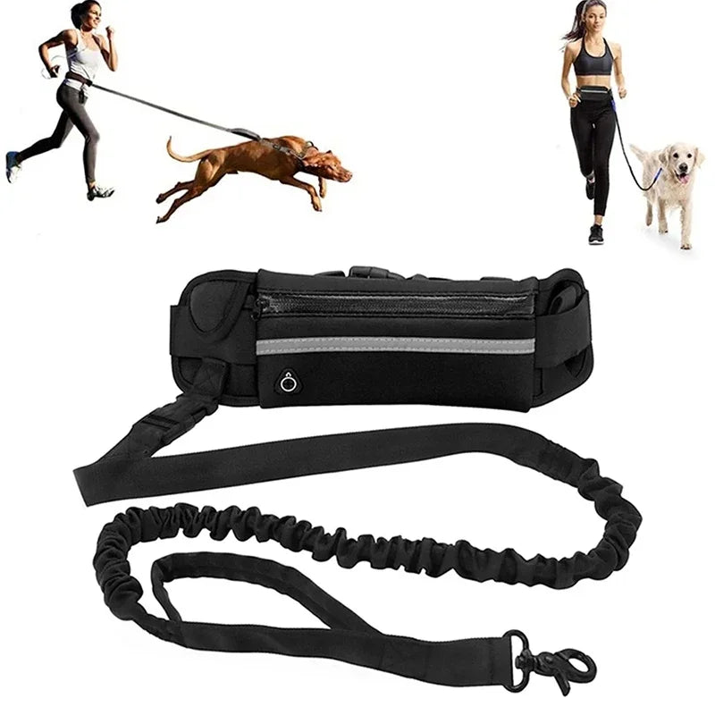 Laisse pour chien mains libres avec sac banane - Ceinture de course réfléchissante