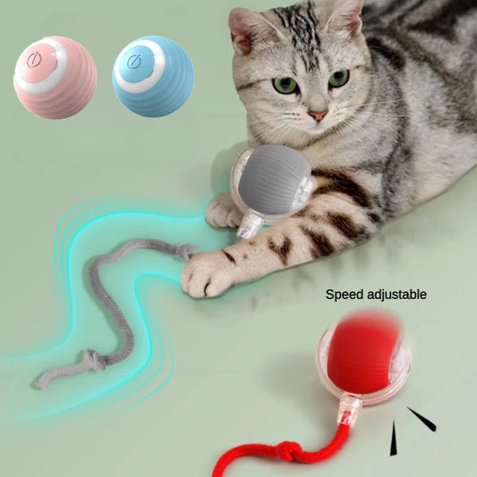 Electric Cat Ball Toy with Automatic Rolling and Teaser Bird - Interactive Pet Toy