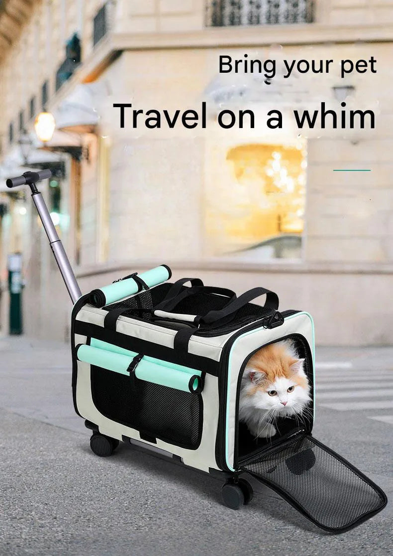 Sac de transport pliable pour animaux de compagnie — Grande valise de voyage détachable