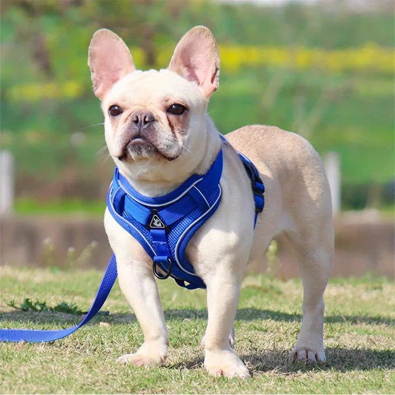 No-Pull Reflective Pet Harness and Leash Set