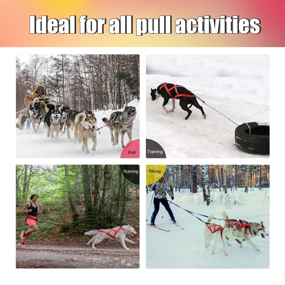 Reflective Padded Dog Sledding Harness for Medium & Large Dogs