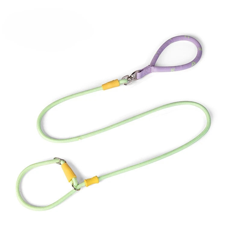 Laisse et collier combinés en nylon pour petits chiens