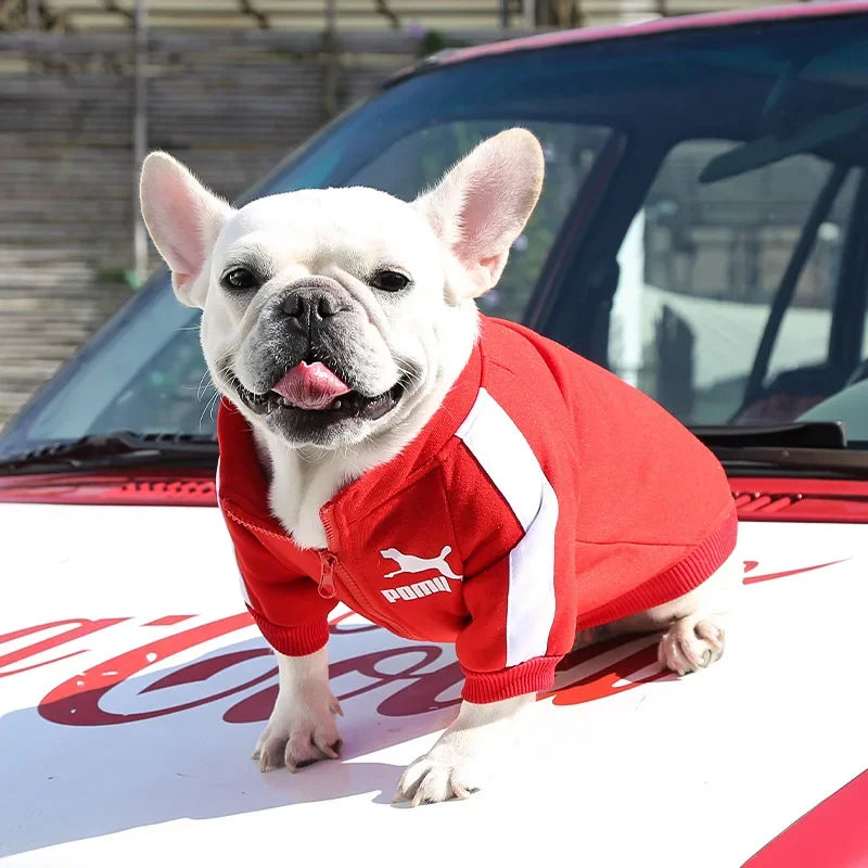 Dog Baseball Jacket | Autumn Winter Sweatshirt Coat for Small & Medium Dogs