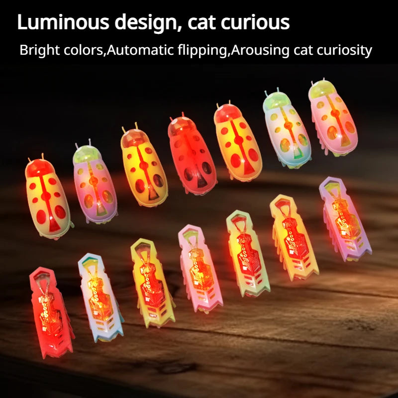 Electronic Cat Bug & Mouse Toys