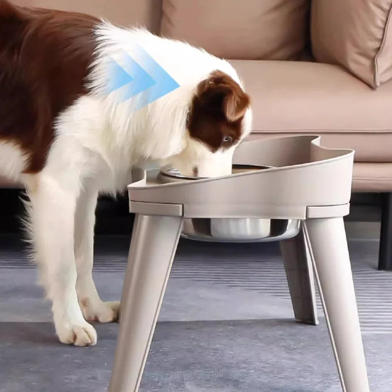Stainless Steel Pet Bowl – Food & Water Dish for Dogs & Cats