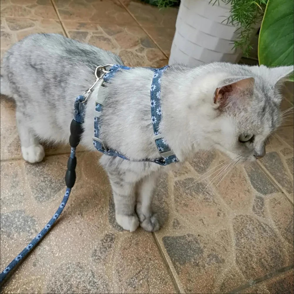 Floral Print Harness & Leash Set for Cats & Small Dogs