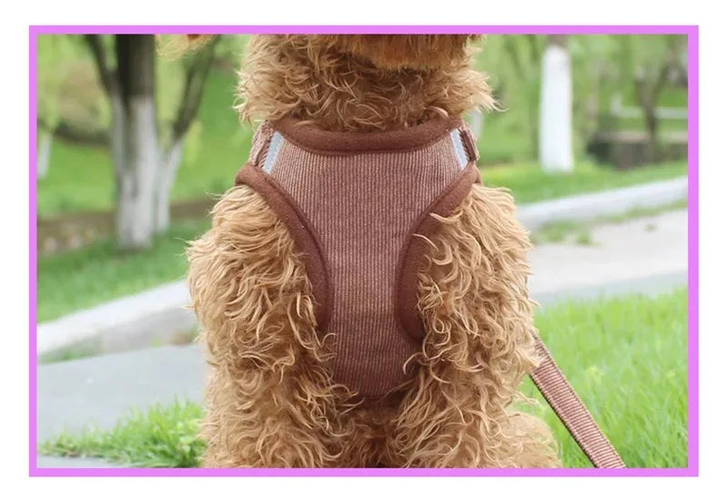Harnais tactique pour chien avec laisse – Harnais de poitrine réglable pour chiens de petite à grande taille