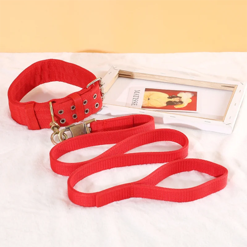 Ensemble laisse et collier pour chien en nylon robuste