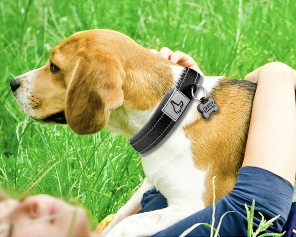 Padded Reflective Dog Collar | Adjustable Heavy-Duty Nylon & Neoprene