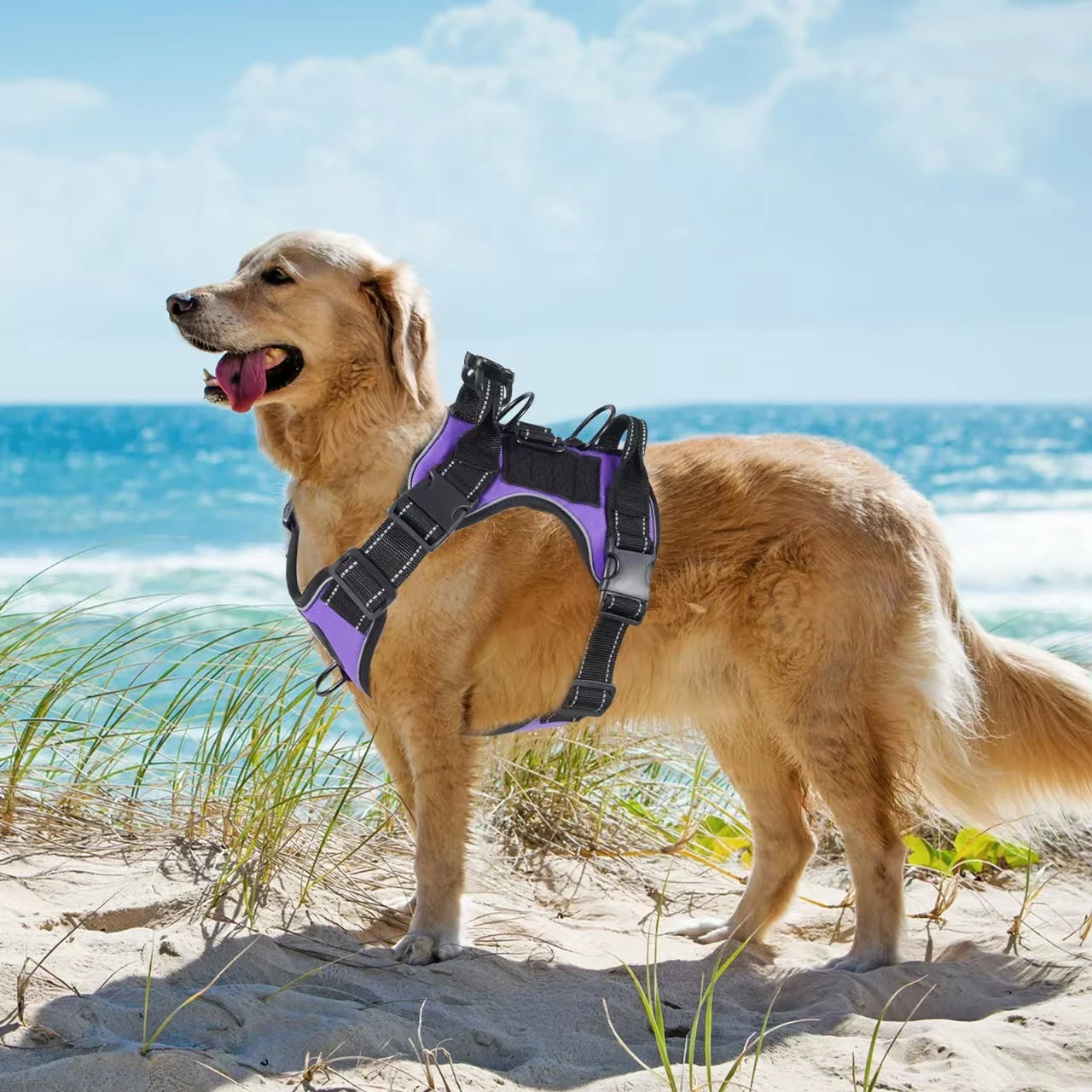 Harnais pour chien anti-traction avec protection en silicone pour traceur GPS