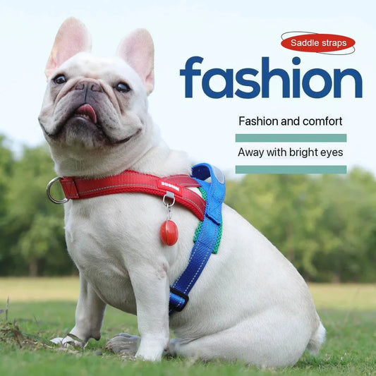 White dog wearing a red and blue harness with 'Saddle Straps' branding in the background.