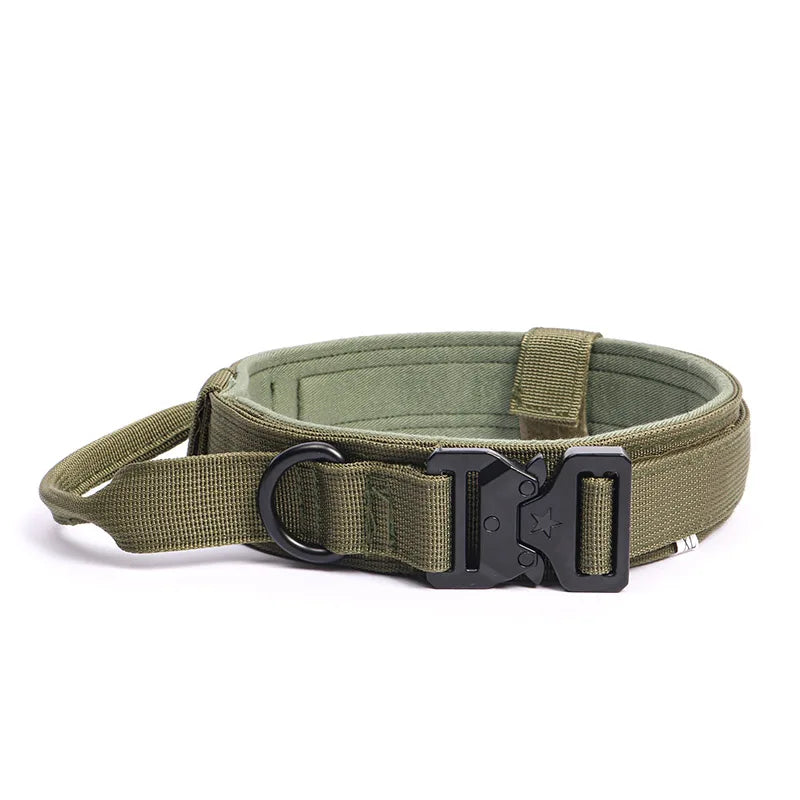 Durable Nylon Dog Collar & Leash Set for Large Dogs
