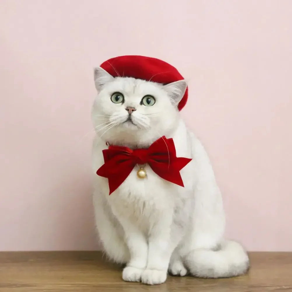 Velvet Bow Cat Collar with Bell - Decorative Breakaway Kitten Collar