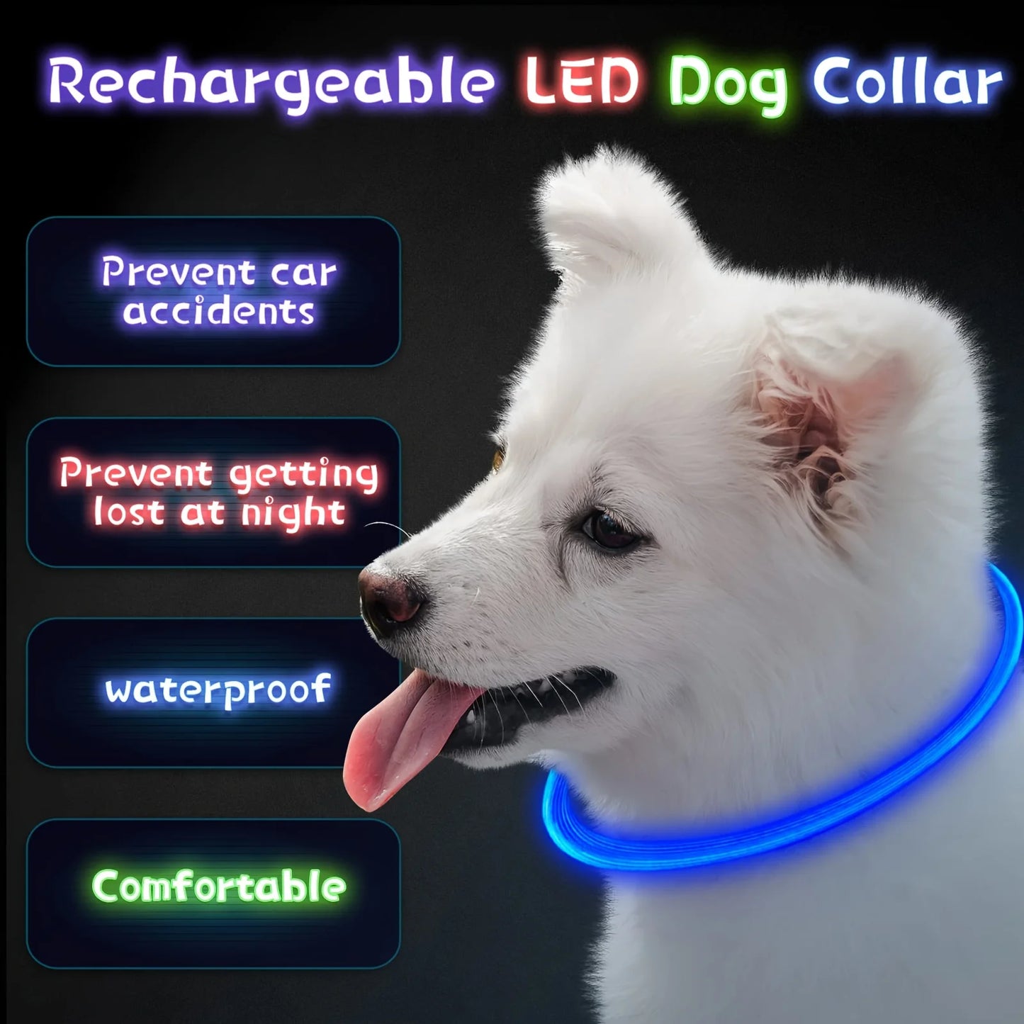 Collier lumineux LED pour chien - Collier de sécurité rechargeable par USB pour une visibilité nocturne