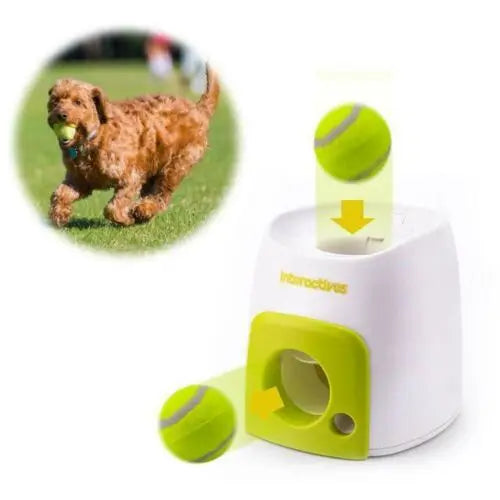 Dog Fetch & Treat Reward Toy