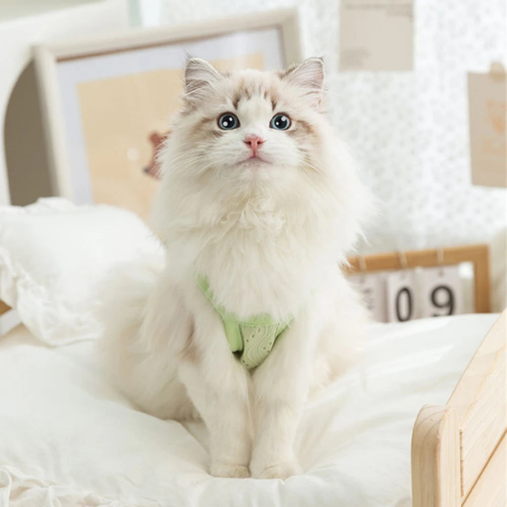 Breathable Summer Vest for Cats & Small Dogs