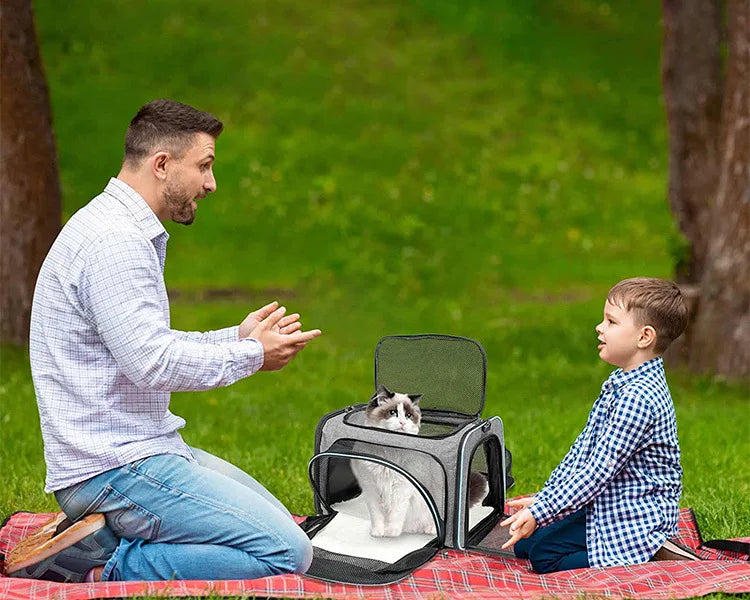 Foldable Expandable Pet Carrier Bag | Breathable Mesh Handheld Bag for Cats & Small Dogs