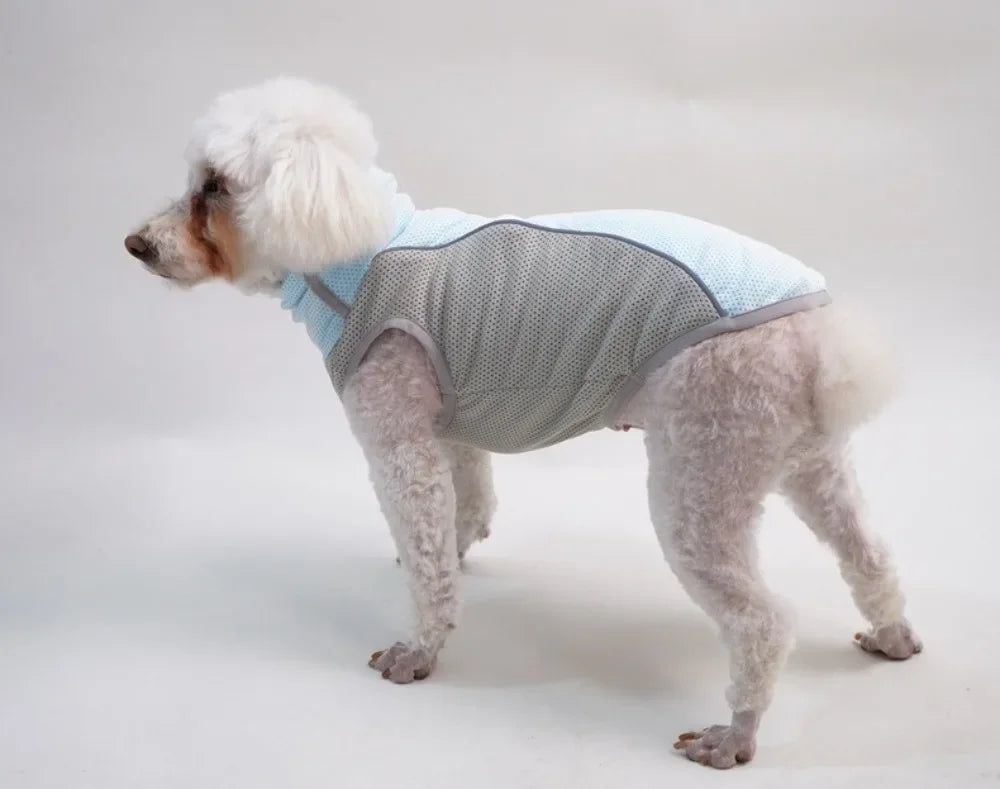 Ice Pack Cooling Vest for Small & Medium Dogs
