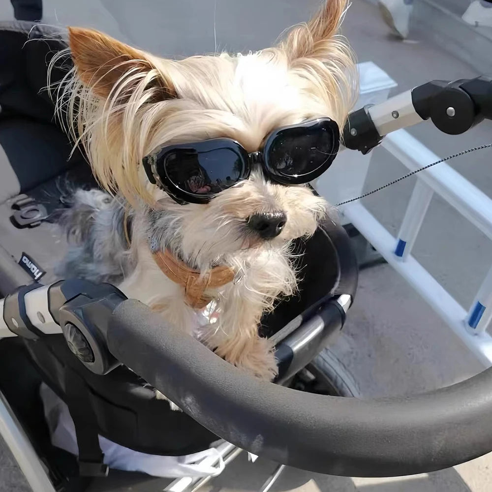 UV & Windproof Sunglasses Goggles for Small Dogs & Cats