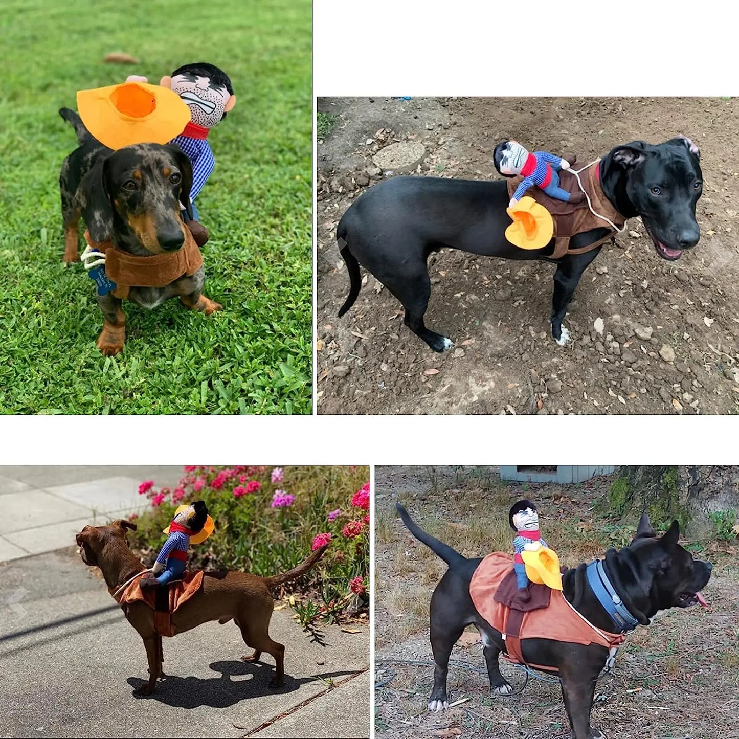 Cowboy Costume Jacket for Small Dogs