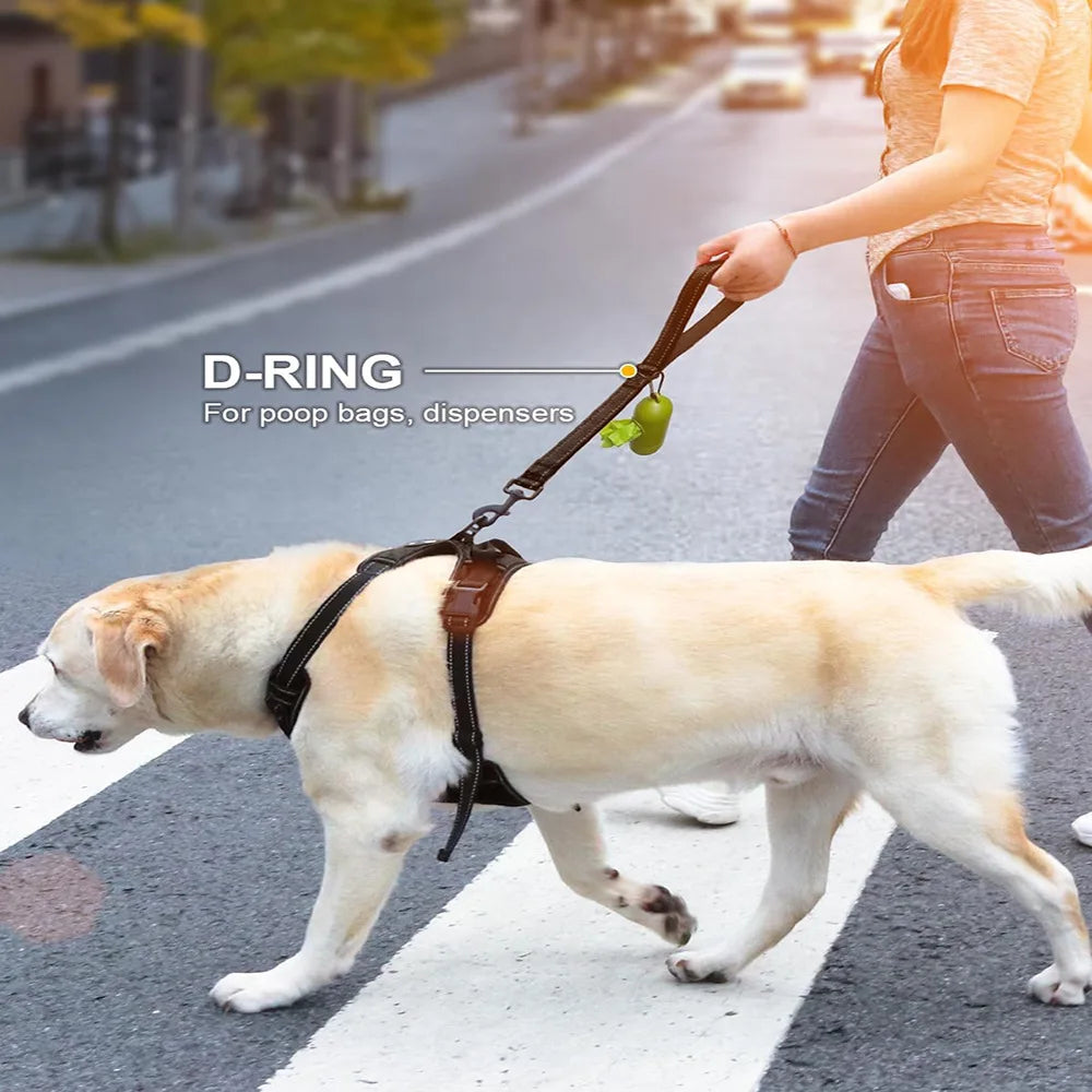 Short Dog Leash 30cm - Heavy Duty Bite Resistant Walking Lead