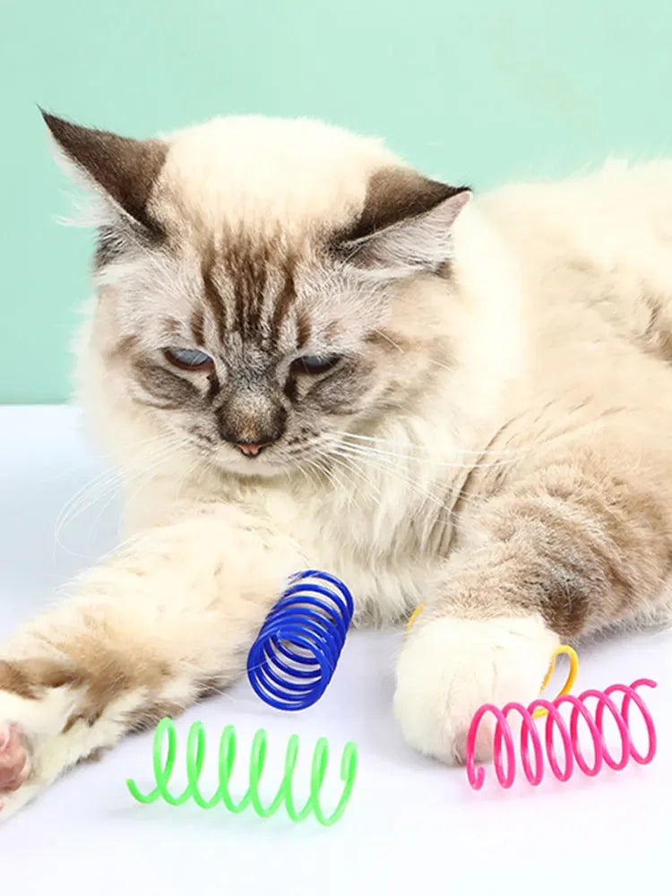 Colorful Spring Coil Toys for Cats