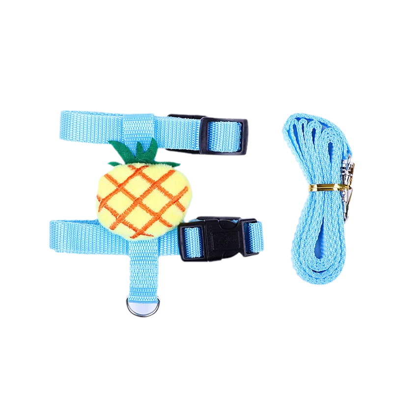 Cartoon Print Harness & Leash Set for Rabbits, Guinea Pigs & Small Pets