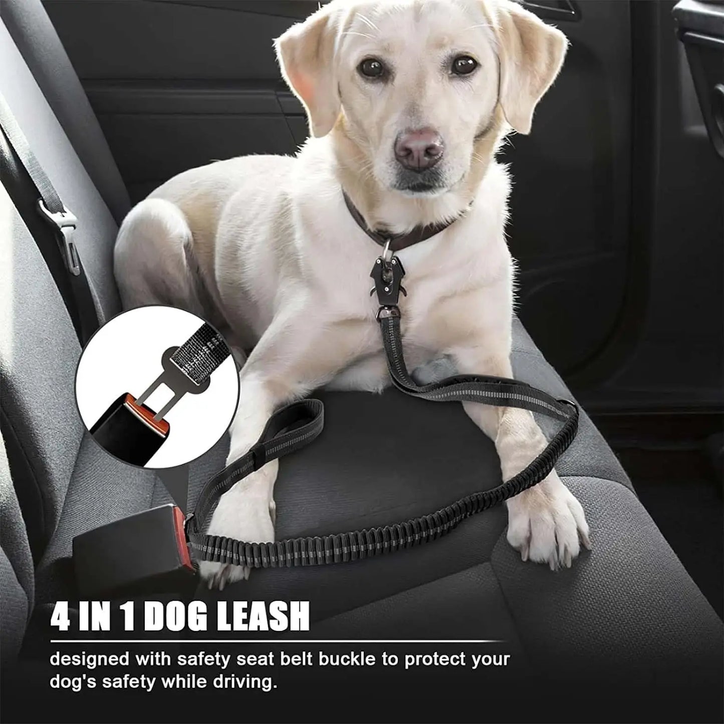 Reflective Shock Absorbing Dog Leash